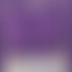 ¡Horarios Indie Fest Campeche 2021!