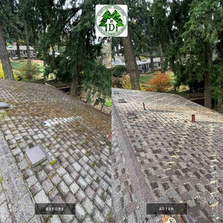 Roof-Cleaning-Portland