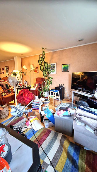 Förebild av organiserat vardagsrum.