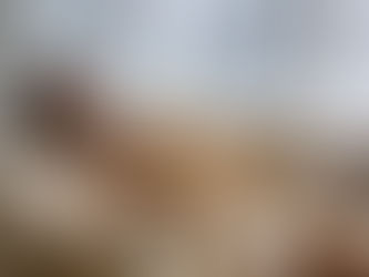 Welcome to Thistle Fox Books