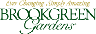bg-logo_0.png