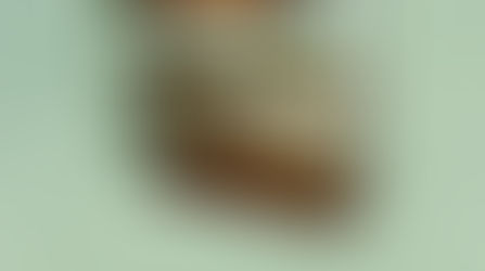 Quinta Edición en Bogotá