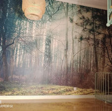 tapetointi, valokuvatapetit