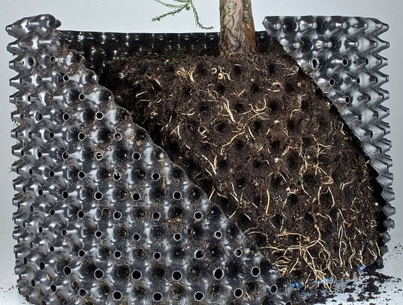 Thumbnail: ROOT CONTROL POTS