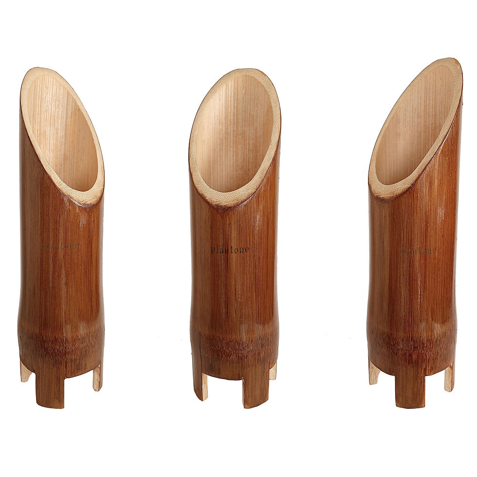 bamboo vase