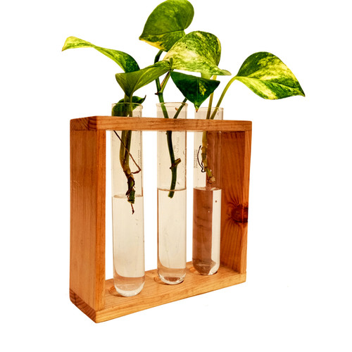Test tube Plant propagation station Plantone