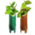 bamboo planter