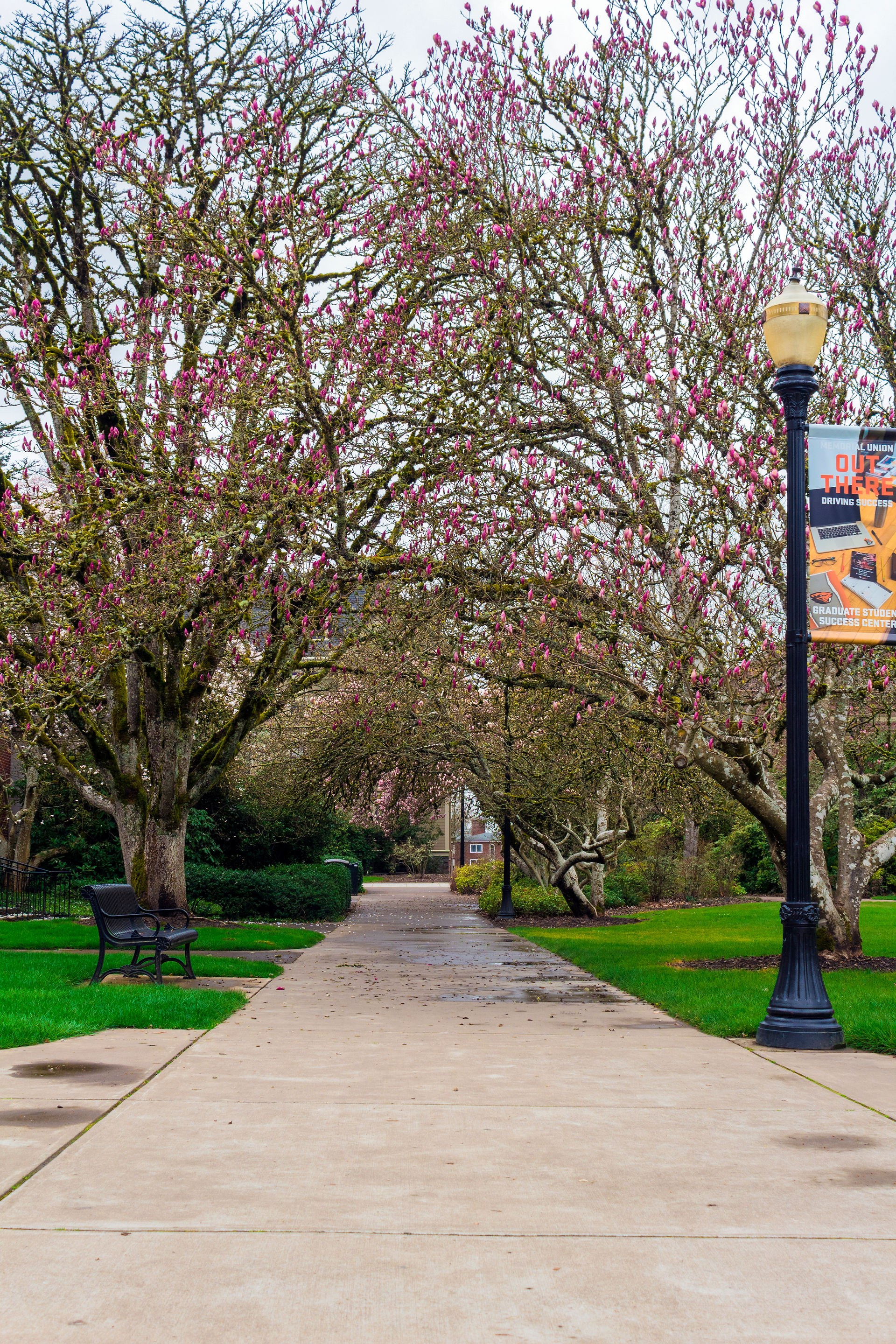 Memorial Quad 2