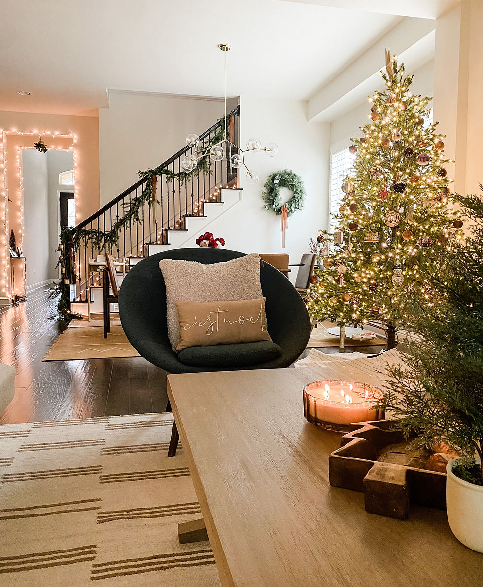 organic natural christmas holiday decor