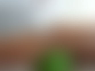 Riabilitazione post intervento ginocchio Fano - Esercizio con palla per quadricipite