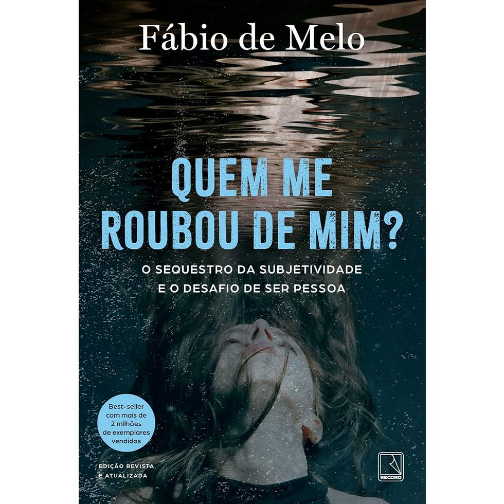 Quem Me Roubou De Mim?
