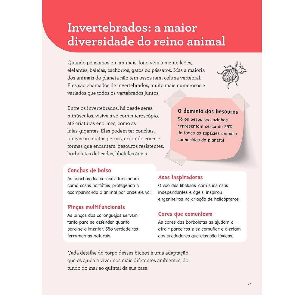 Miniatura: Desenhe 50 animais com o Manual do Mundo - Edição ampliada Capa comum –  2026