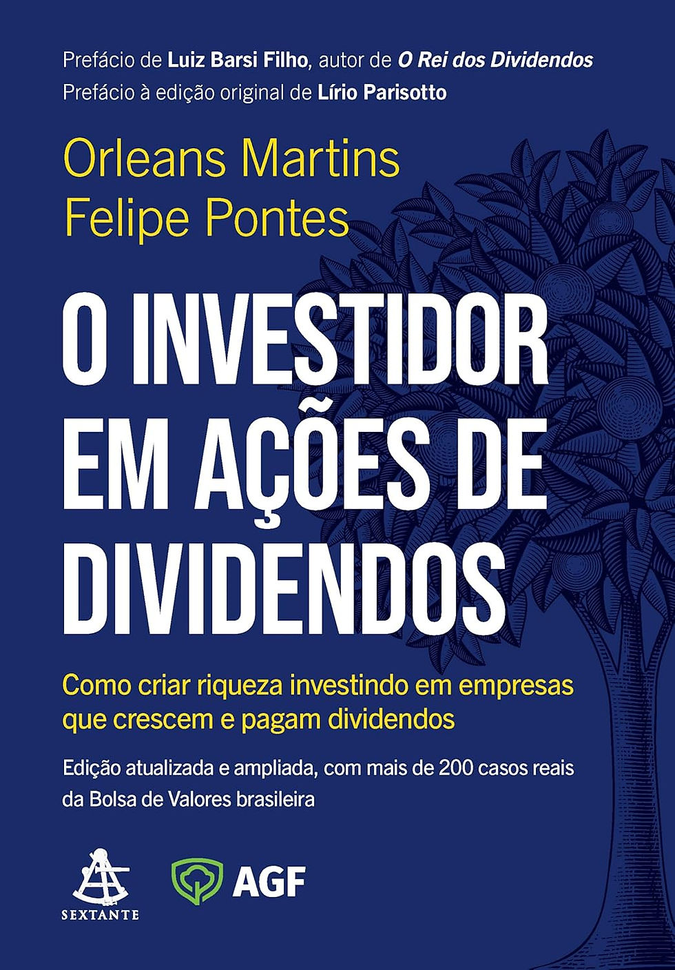 O investidor em ações de dividendos Capa comum – 2 julho 2025