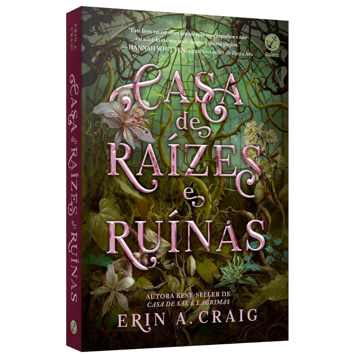 Casa de raízes e ruínas (Vol. 2 Irmãs do Sal) Capa comum – 23 fevereiro 2026