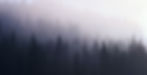 Blog_PNW_edited.jpg