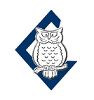 logo oficial 2020 - copia.png