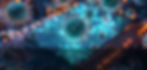 Untitled design_edited_edited_edited.jpg