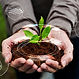 smart-agriculture-iot-with-hand-planting-tree-background_53876-124626.jpg