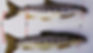1525552688-211110810-640x360.jpeg