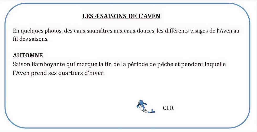 Sans titre_edited.jpg