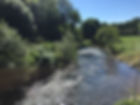 fullsizeoutput_3dc5.jpeg