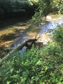 IMG_3642.jpeg
