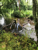 IMG_3715.jpeg