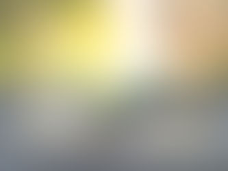 WINDERMERE INSIGHTS: WHAT THE MARKET HOLDS IN 2021