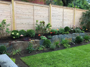 50 Functional Privacy Fence Ideas That Look Great in Your Yard