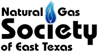 NGSET+Logo.png