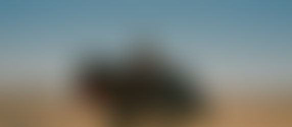 Summer Walker gives us Life on Earth