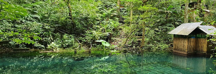 Reserva-Ecologica-Nanciyaga-1.jpg