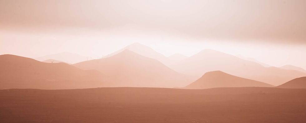 LANZAROTE - FLOWS CAMP