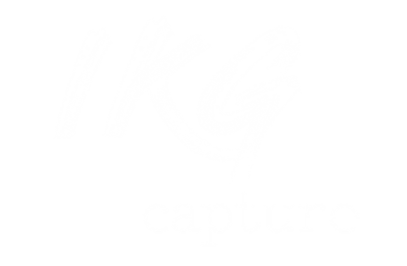 IKG Logo white PNG.png