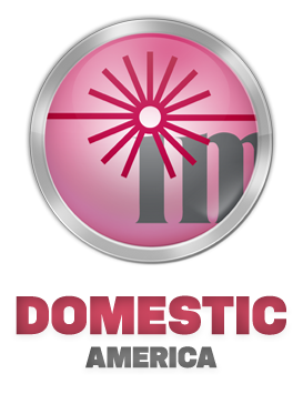 Immunostics Inc Point Of Care Diagnostics