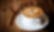 Hot/Iced Latte