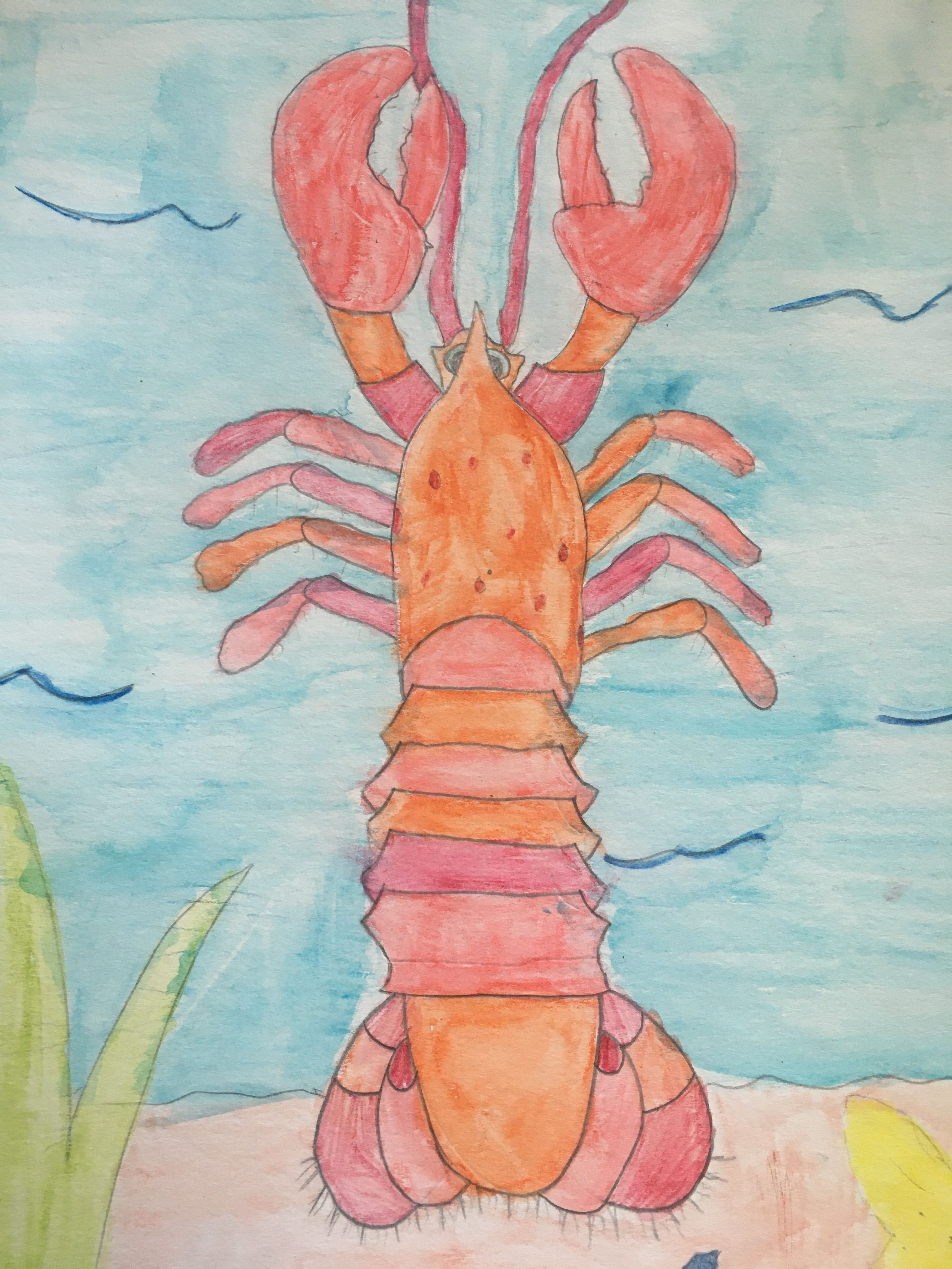 Lily Albright - "My red lobster"
