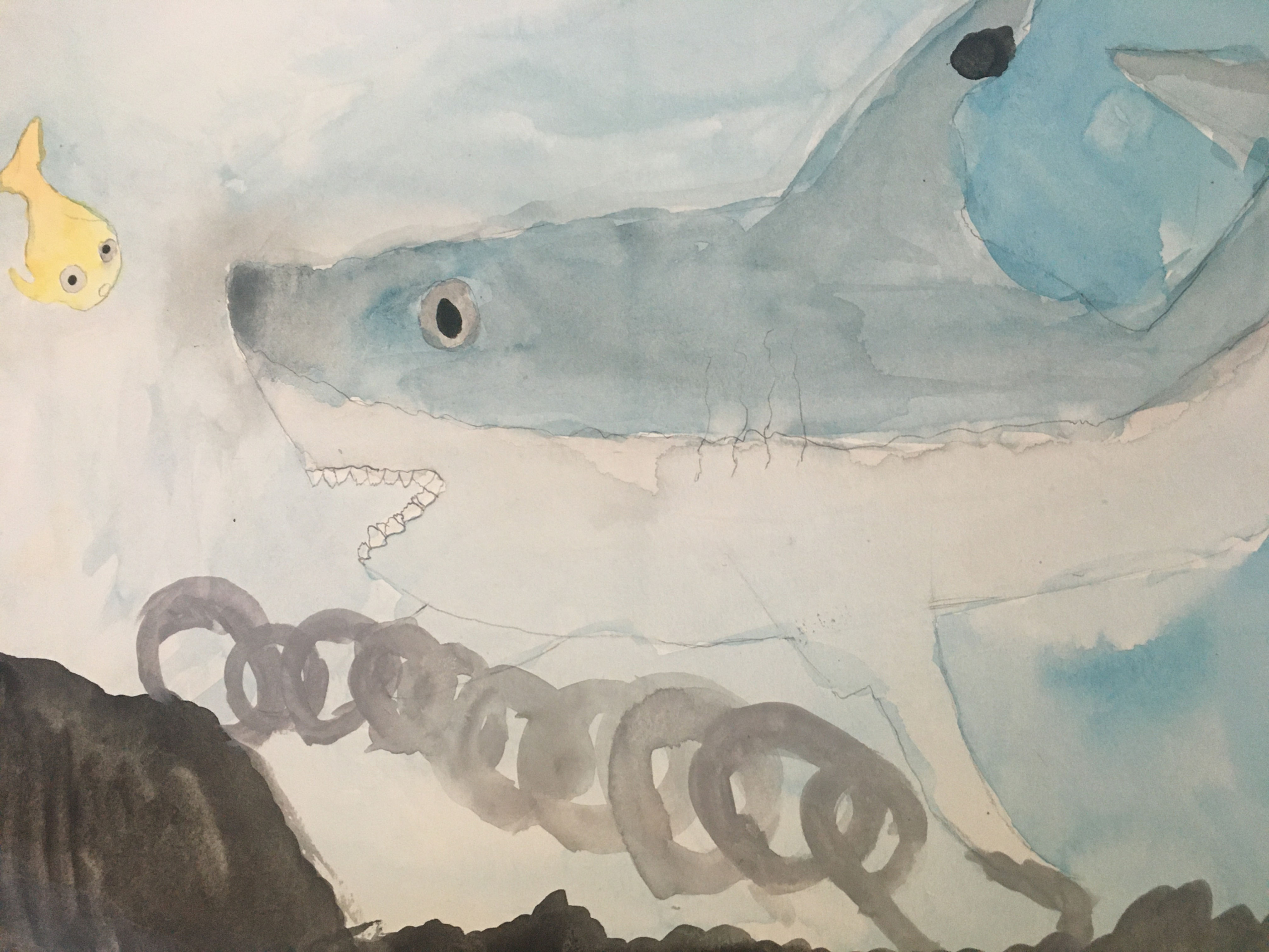 Nautia Vandendort - "Scary Shark"