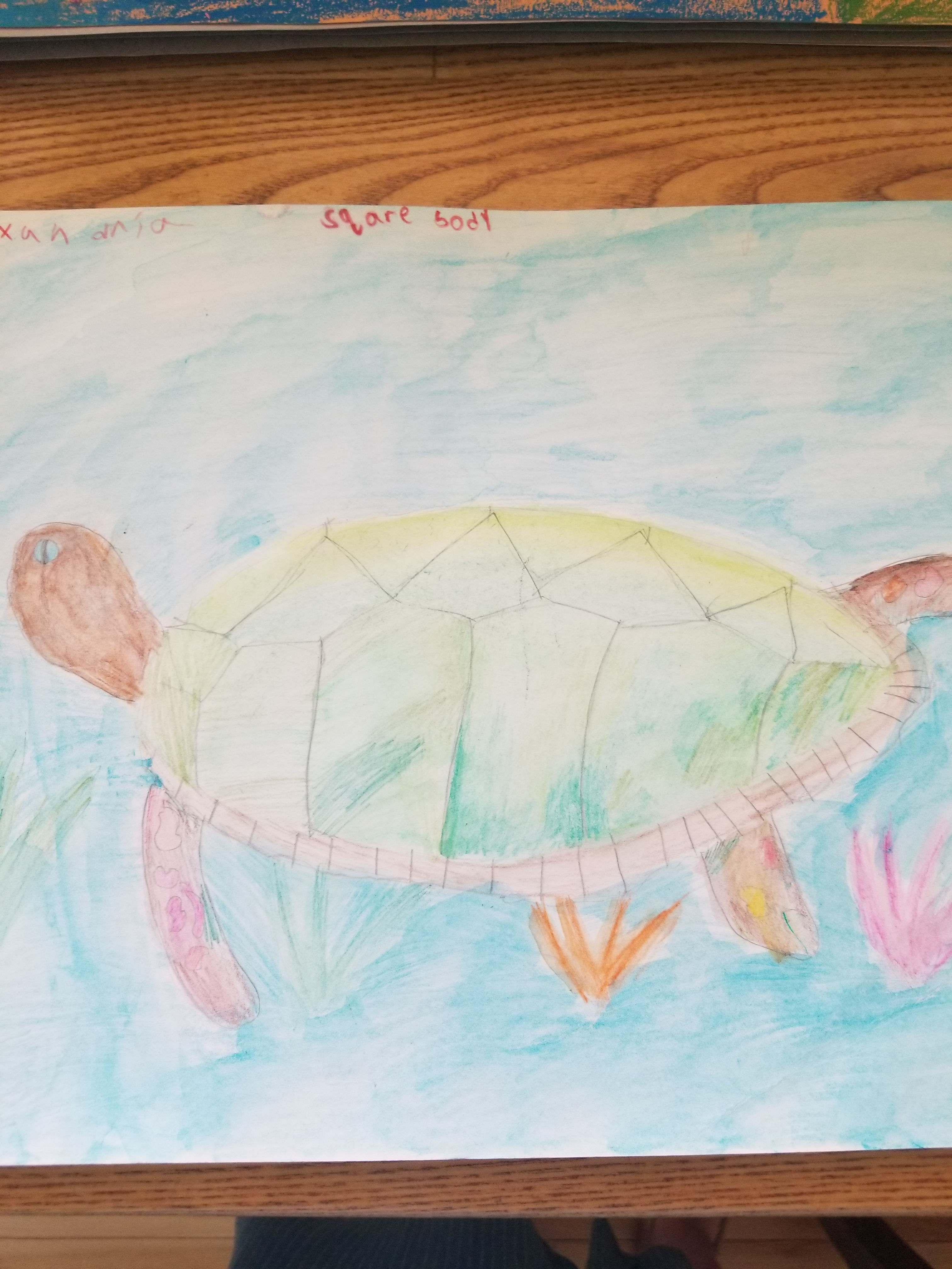 Alexandria Hitchcock - "Square Body"