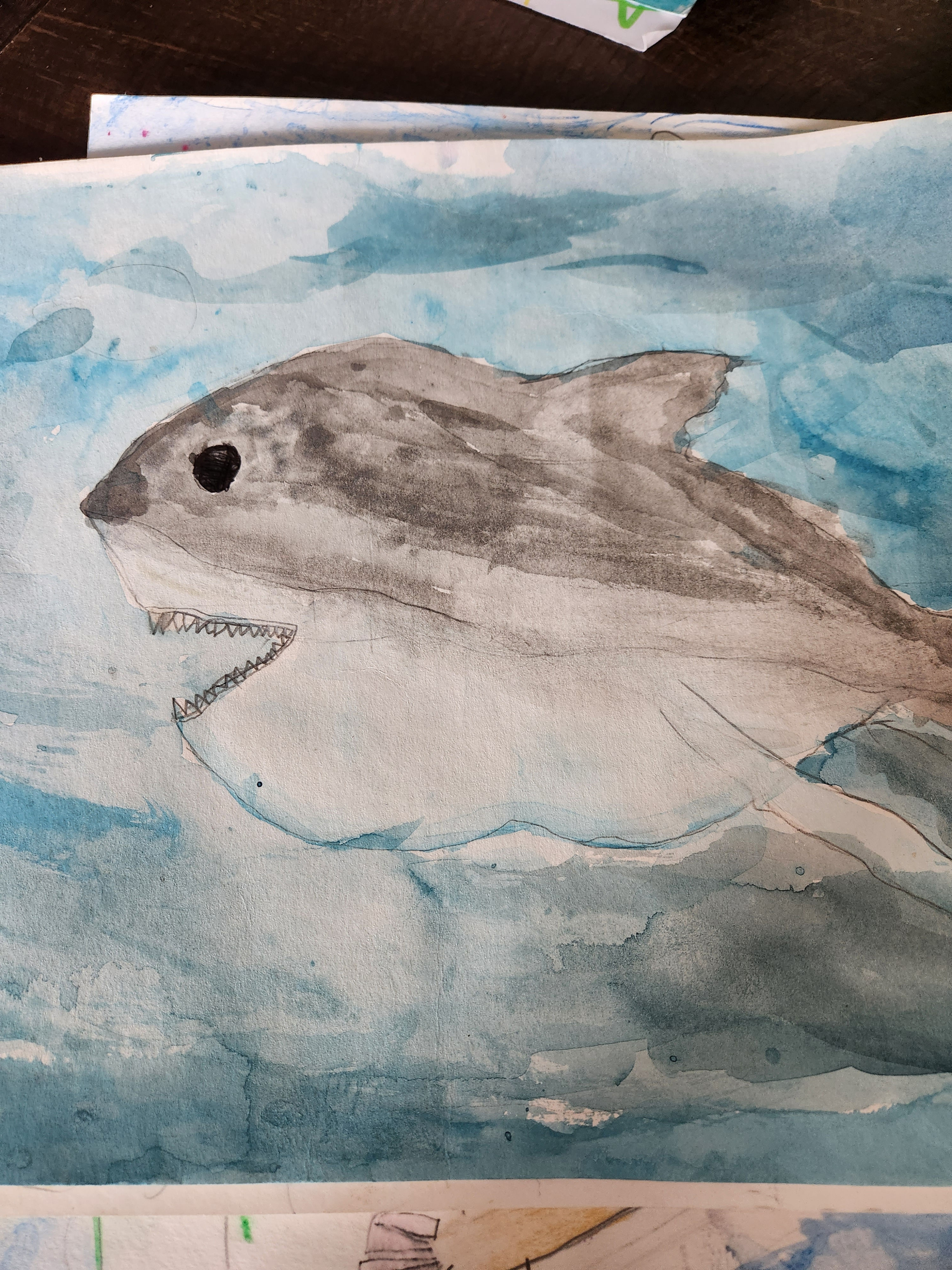 Ember Vandendort - "Shark"