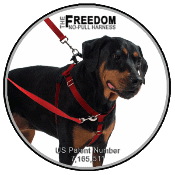 FreerdomHarness.gif