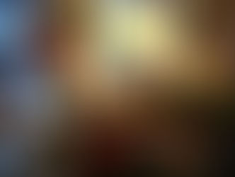 La vente du 27 novembre en images