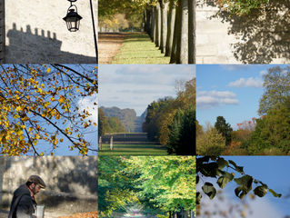 Photos d'automne - Fotos de otoño