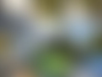 Photos d'automne - Fotos de otoño