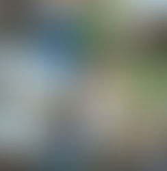 Collage parc du château Compiègne - Collage parque del castillo Compiègne