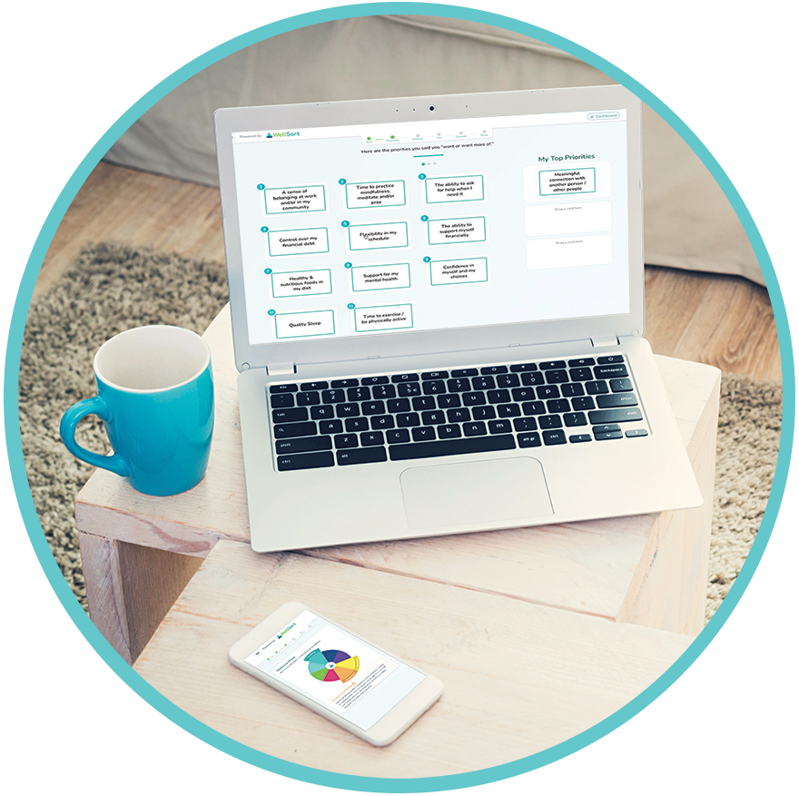 WellSort Platform on a laptop screen
