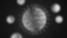 Covid 19_edited.jpg