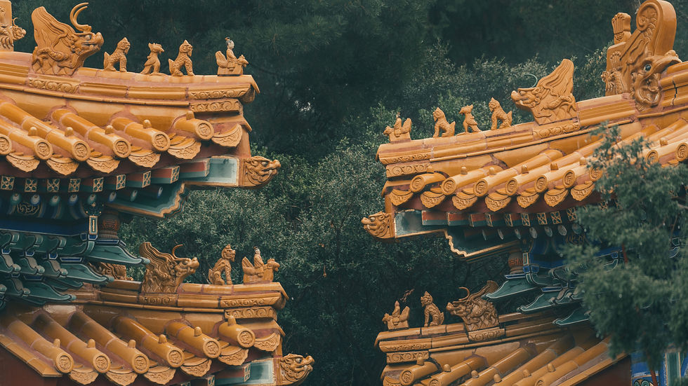 pexels-zhangkaiyv-9785937_edited.jpg