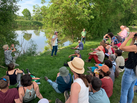 Les oiseaux du sacré - Marais de Sainte Anne sur Vilaine - 26 avril 2026