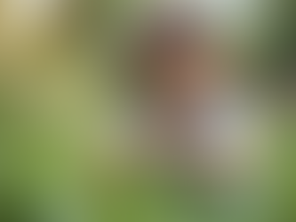 The Importance of Outdoor Play for Children and Its Impact on Learning